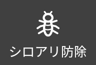 シロアリ防除